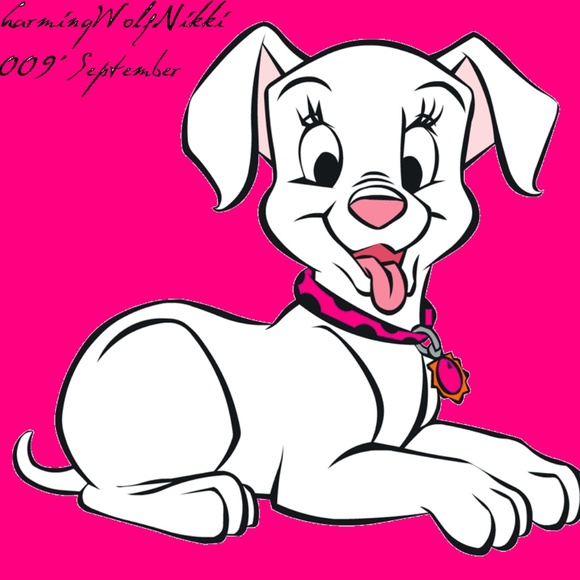 Meet your Posher, Molly - Picture 7 of 8